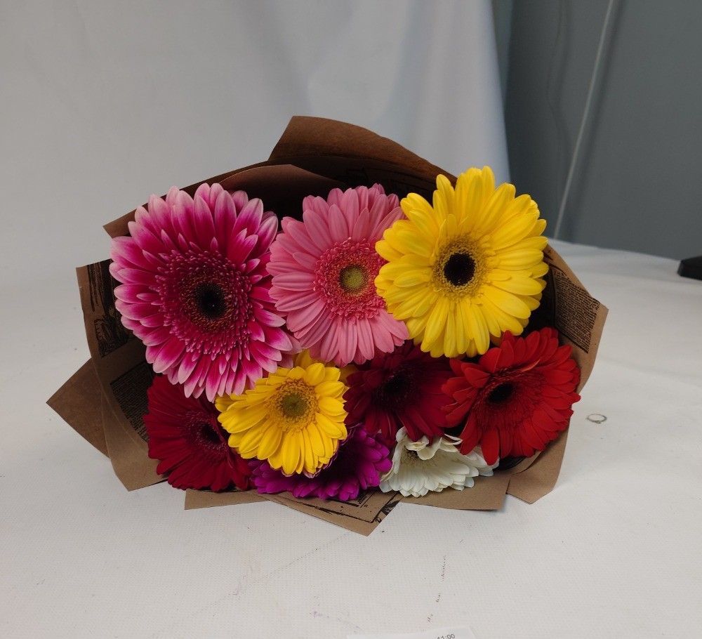 Фото к отзыву #4585