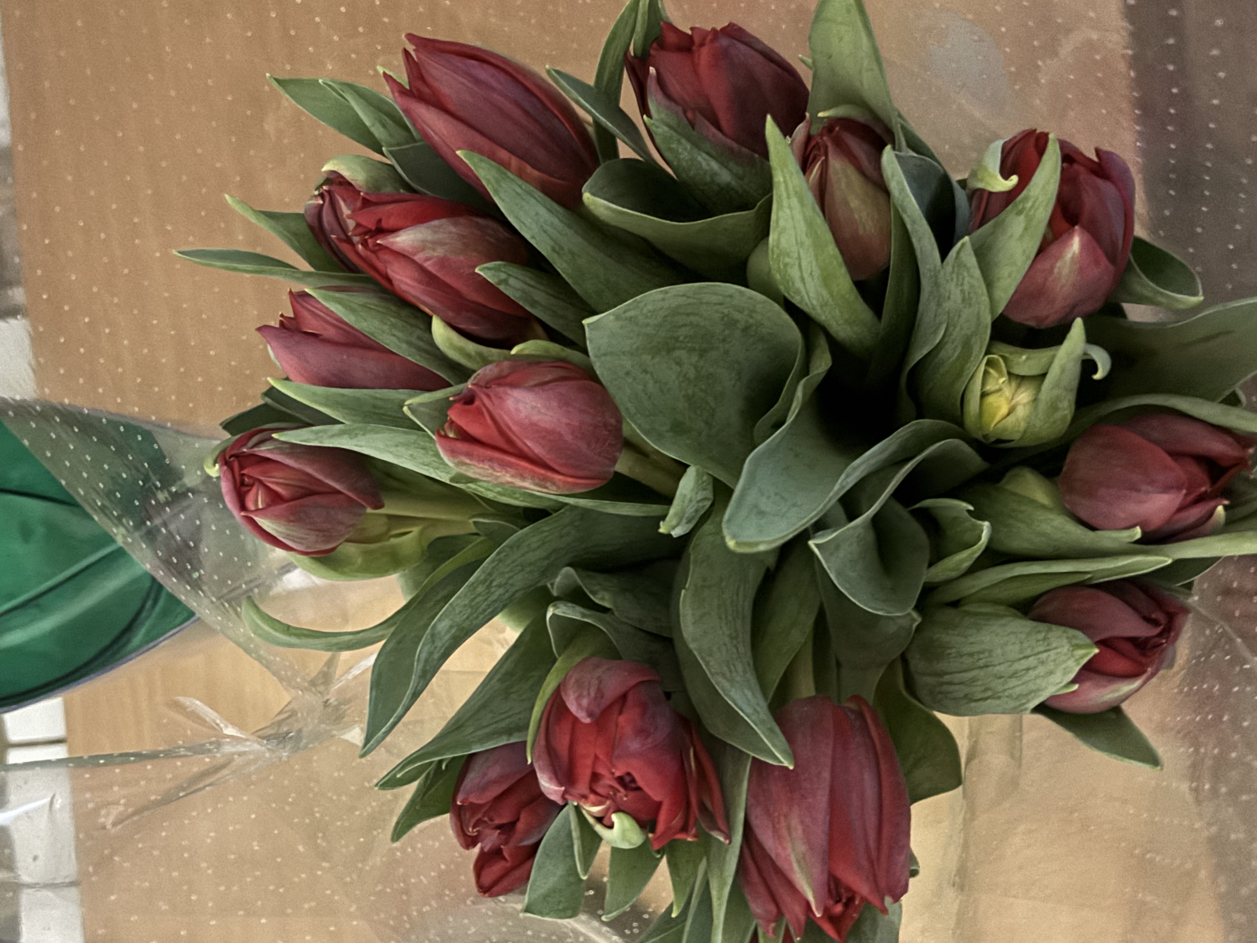 Фото к отзыву #4586