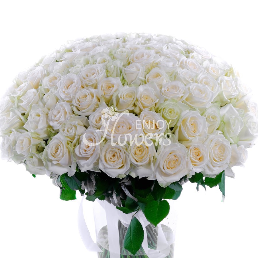Букет из 101 розы "Белые розы"