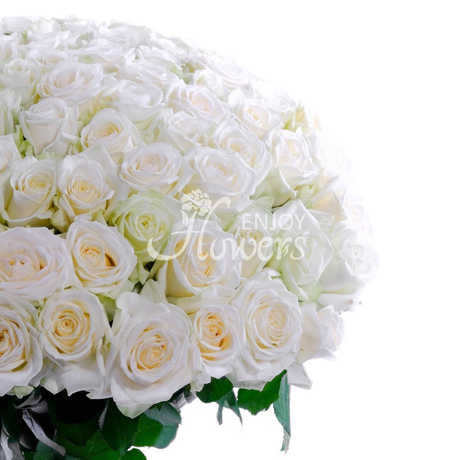 Букет из 101 розы "Белые розы"