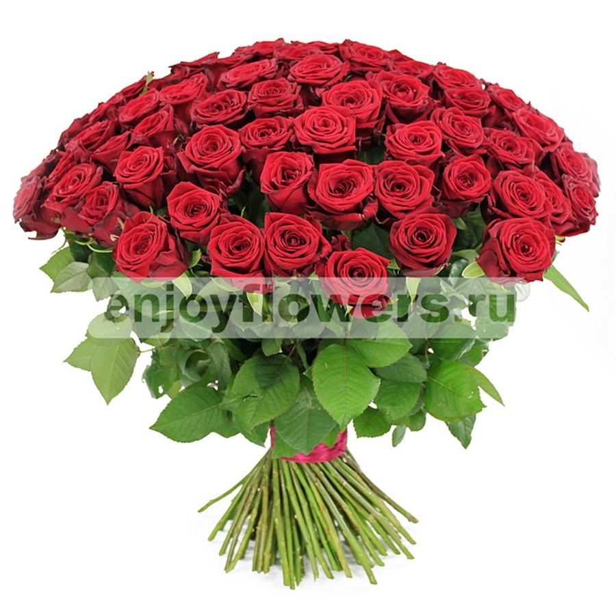 Букет из 101 розы "Красные розы"