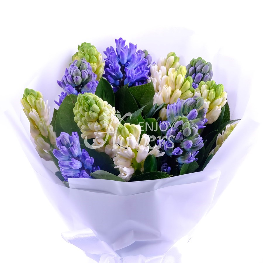 Букет из 15 бело-синих гиацинтов "Бело-синие гиацинты"