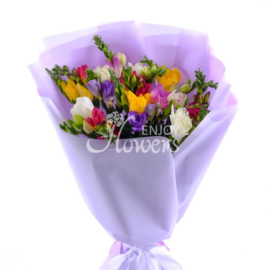 Букет из 15 фрезий "Разноцветная фрезия"