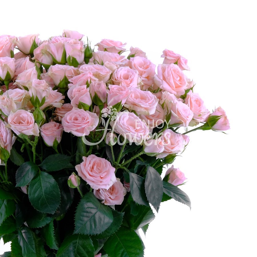 Букет из 15 роз "Розовые кустовые розы"
