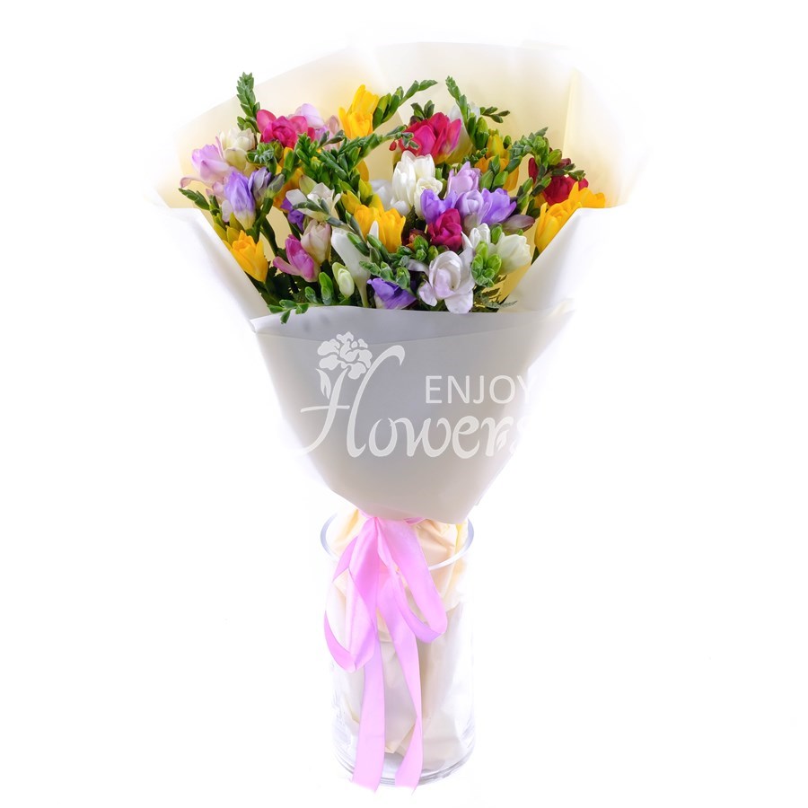 Букет из 25 фрезий "Разноцветная фрезия"