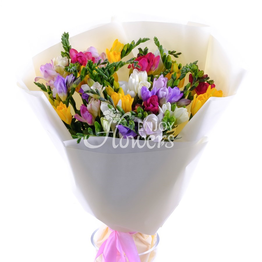 Букет из 25 фрезий "Разноцветная фрезия"