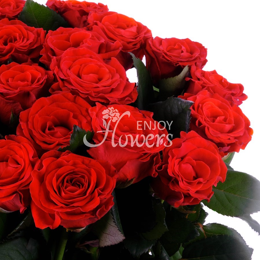 Букет из 25 роз "Алые розы"