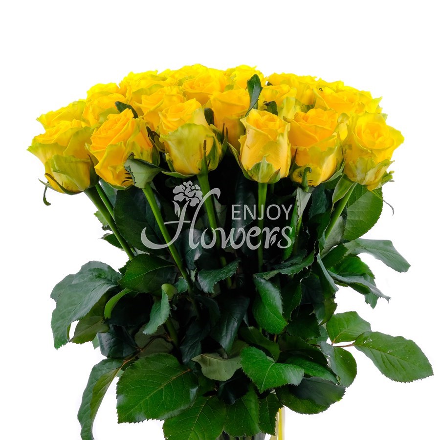 Букет из 25 роз "Желтые розы"