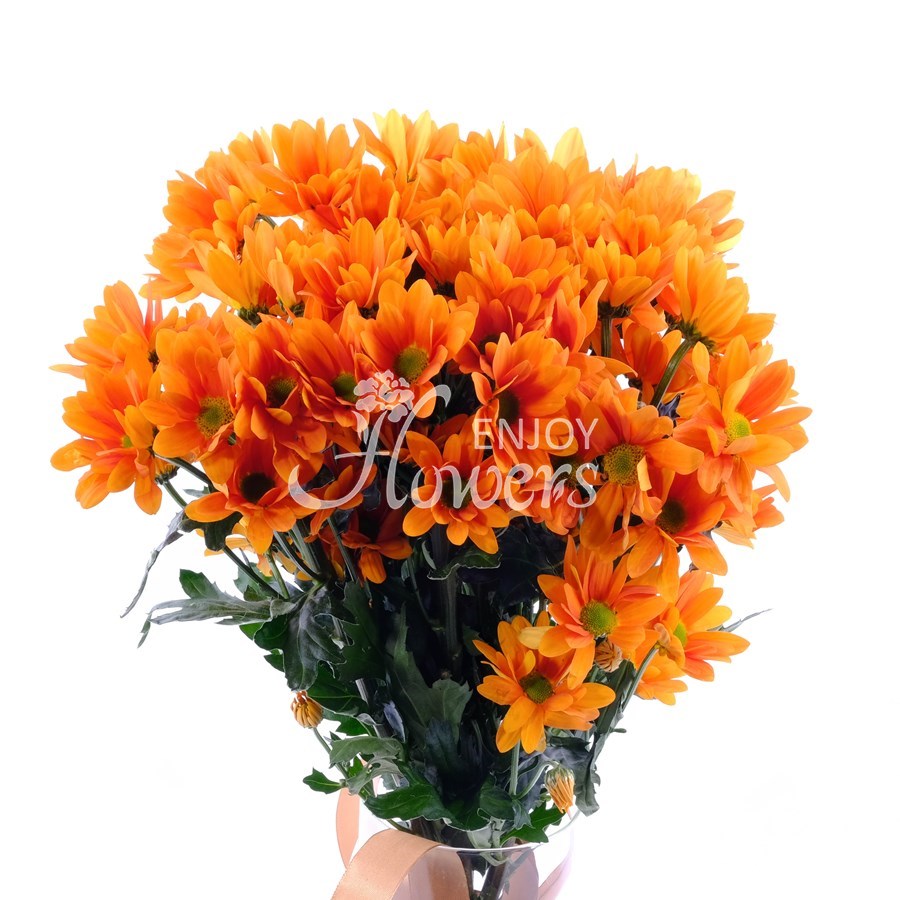 Букет из 5 оранжевых хризантем "Оранжевые кустовые хризантемы"