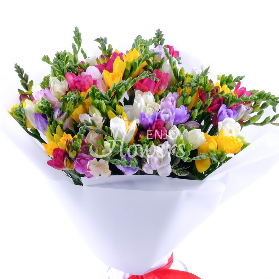 Букет из 51 фрезии "Разноцветная фрезия"