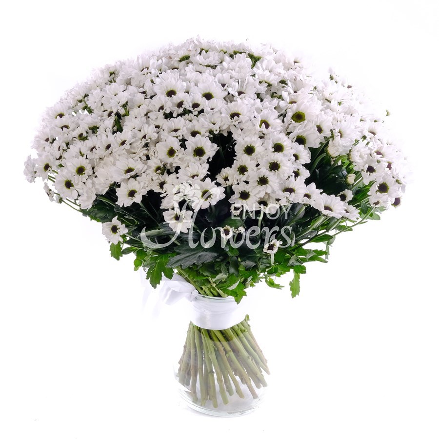 Букет из 51 хризантемы сантини "Сантини белые"