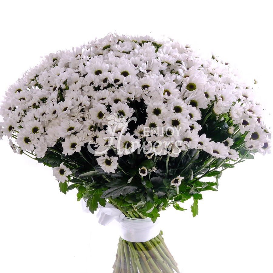 Букет из 51 хризантемы сантини "Сантини белые"