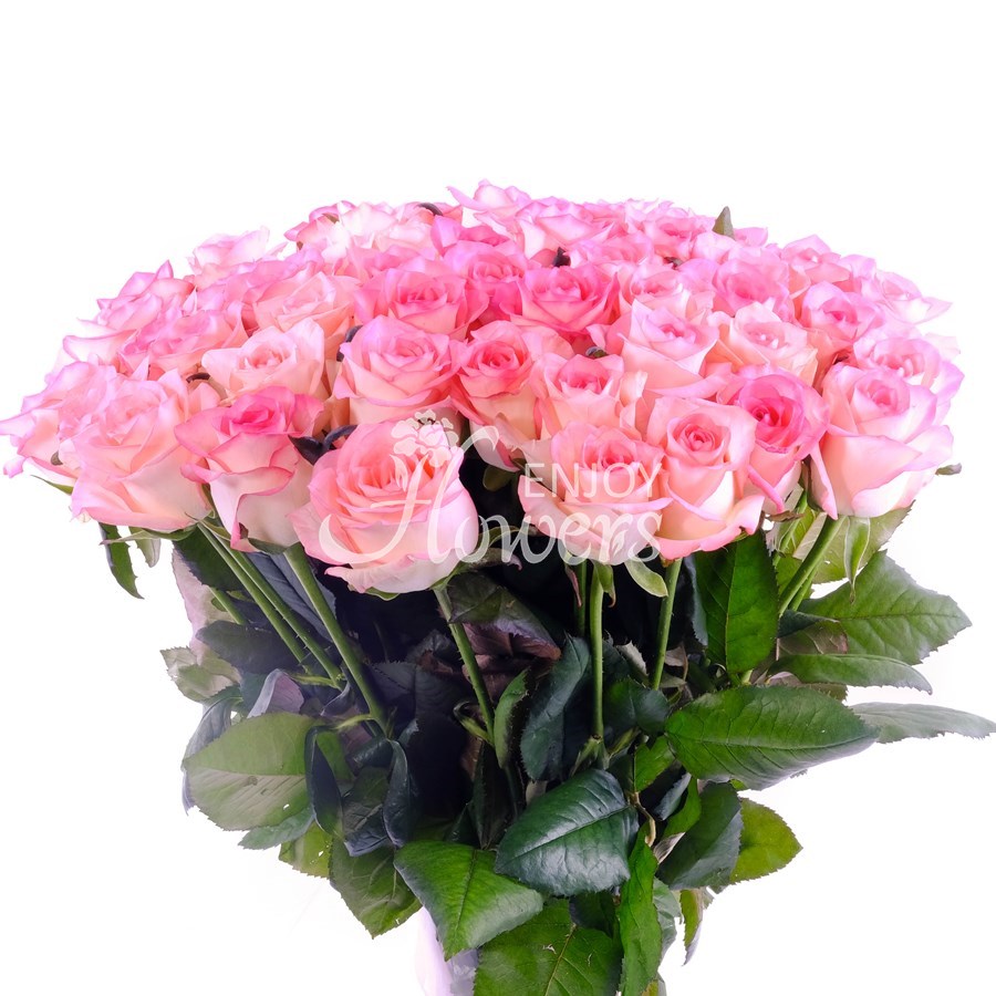 Букет из 51 нежно-розовой розы "Джумилия"
