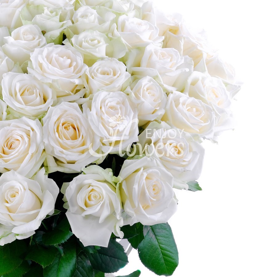 Букет из 51 розы "Белые розы"