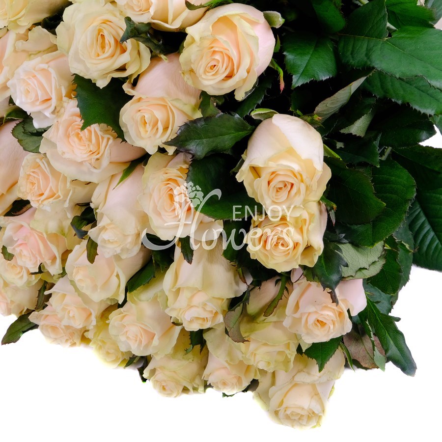 Букет из 51 розы "Чайные розы"