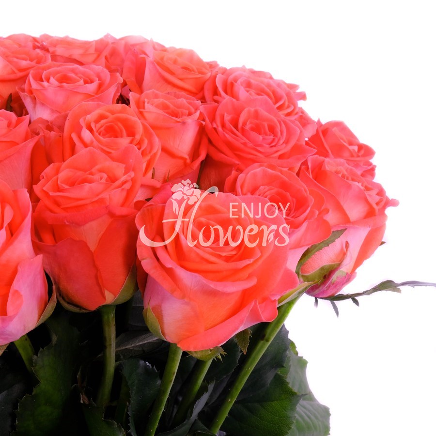 Букет из 51 розы "Оранжевые розы"