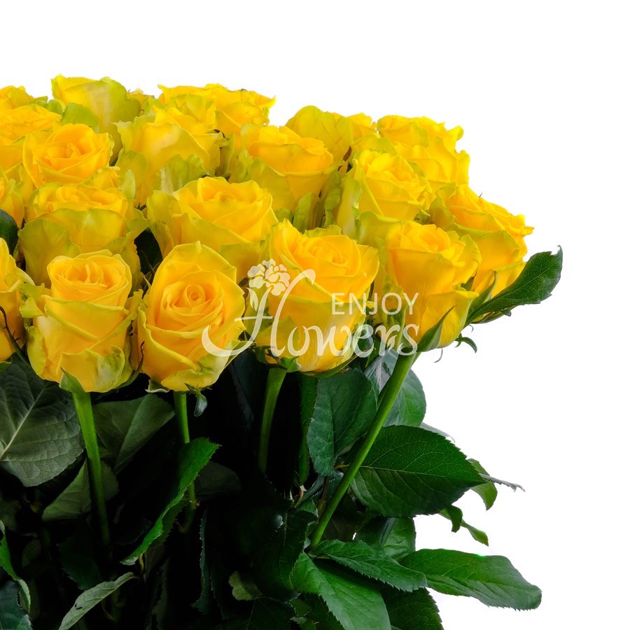 Букет из 51 розы "Желтые розы"