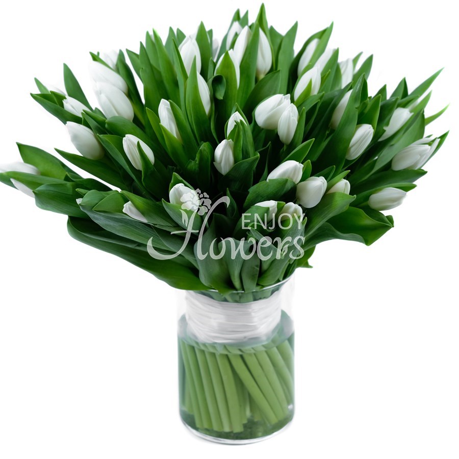 Букет из 51 тюльпана "Белые тюльпаны"