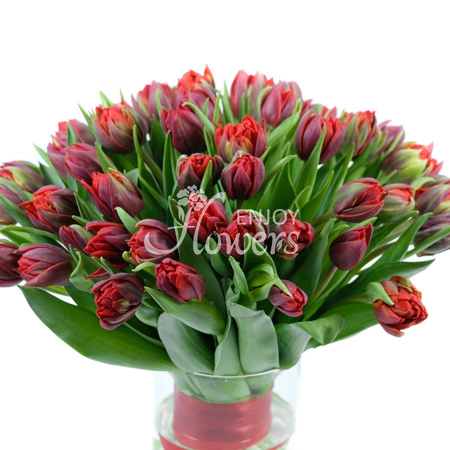Букет из 51 тюльпана "Красные пионовидные тюльпаны"