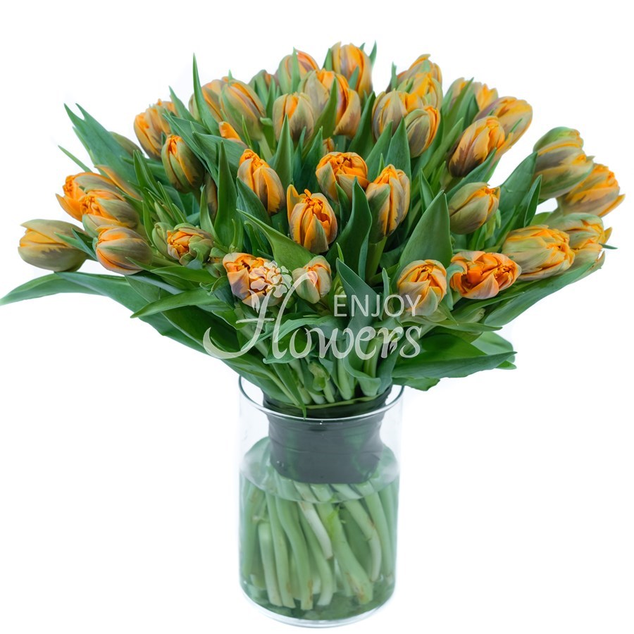 Букет из 51 тюльпана "Оранжевые пионовидные тюльпаны"