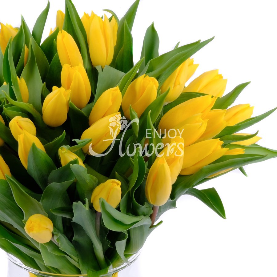 Букет из 51 тюльпана "Желтые тюльпаны"