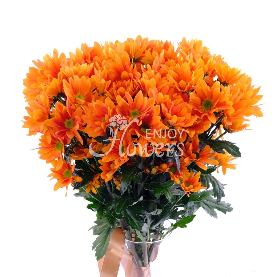 Букет из 7 оранжевых хризантем "Оранжевые кустовые хризантемы"