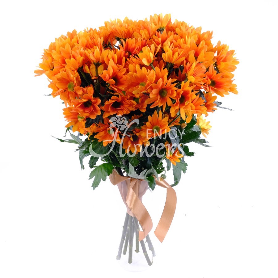 Букет из 9 оранжевых хризантем "Оранжевые кустовые хризантемы""