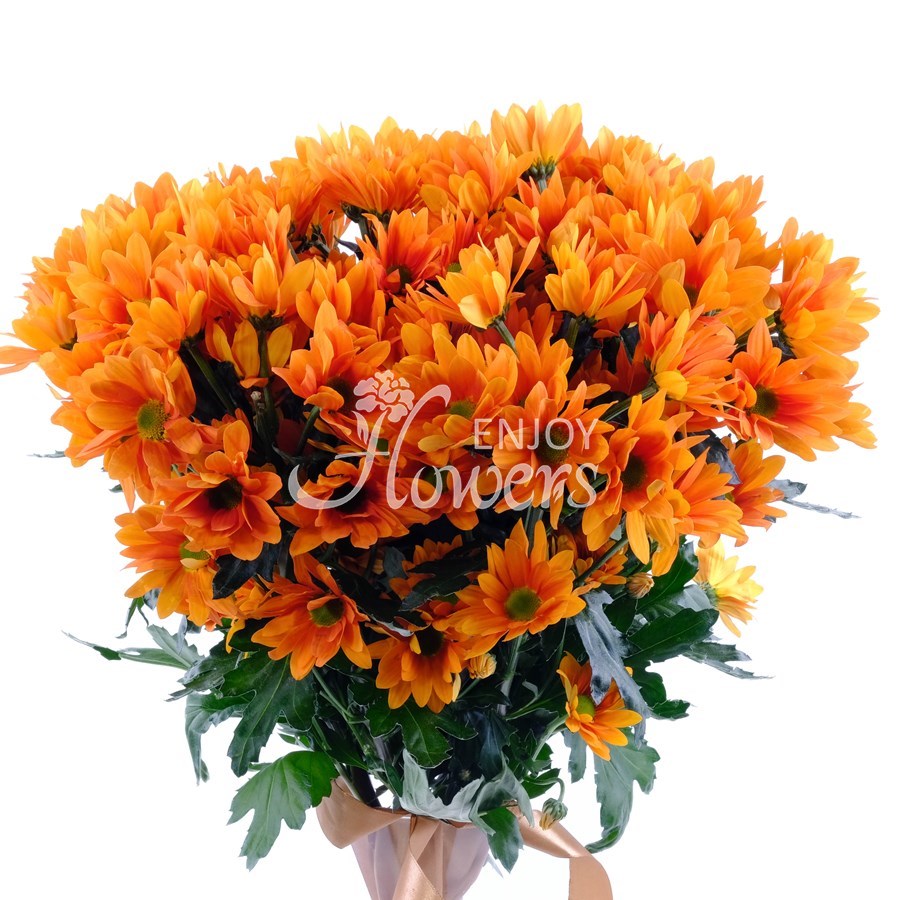 Букет из 9 оранжевых хризантем "Оранжевые кустовые хризантемы""