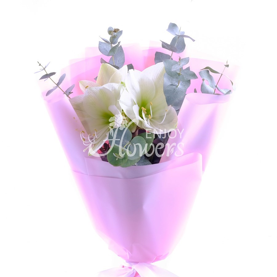Букет из белого амариллиса в пленке "Белые амариллисы"