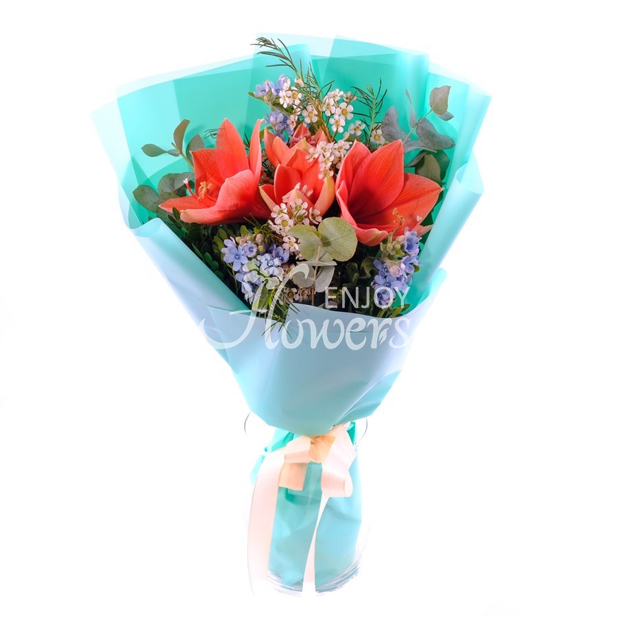 Букет из персикого амариллиса и голубого оксипеталума "Цветочный символ"