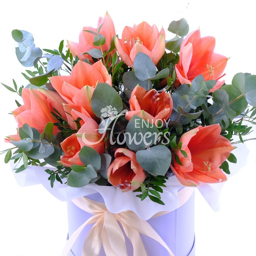 Композиция из 3 персиковых амариллисов с эвкалиптом в коробке "Персиковые амариллисы"