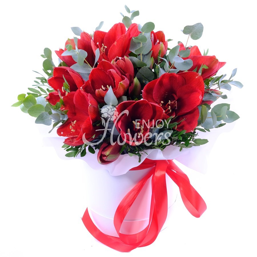 Композиция из 5 красных амариллисов с эвкалиптом в коробке "Красные амариллисы"