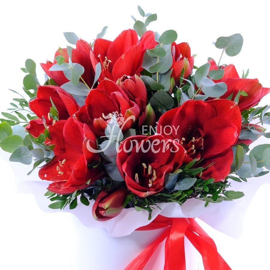 Композиция из 5 красных амариллисов с эвкалиптом в коробке "Красные амариллисы"