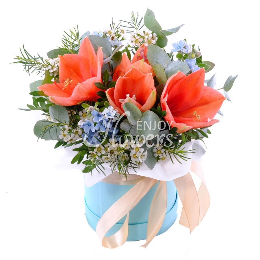 Композиция из персикового амариллиса и голубого оксипеталума "Персиковый нектар"