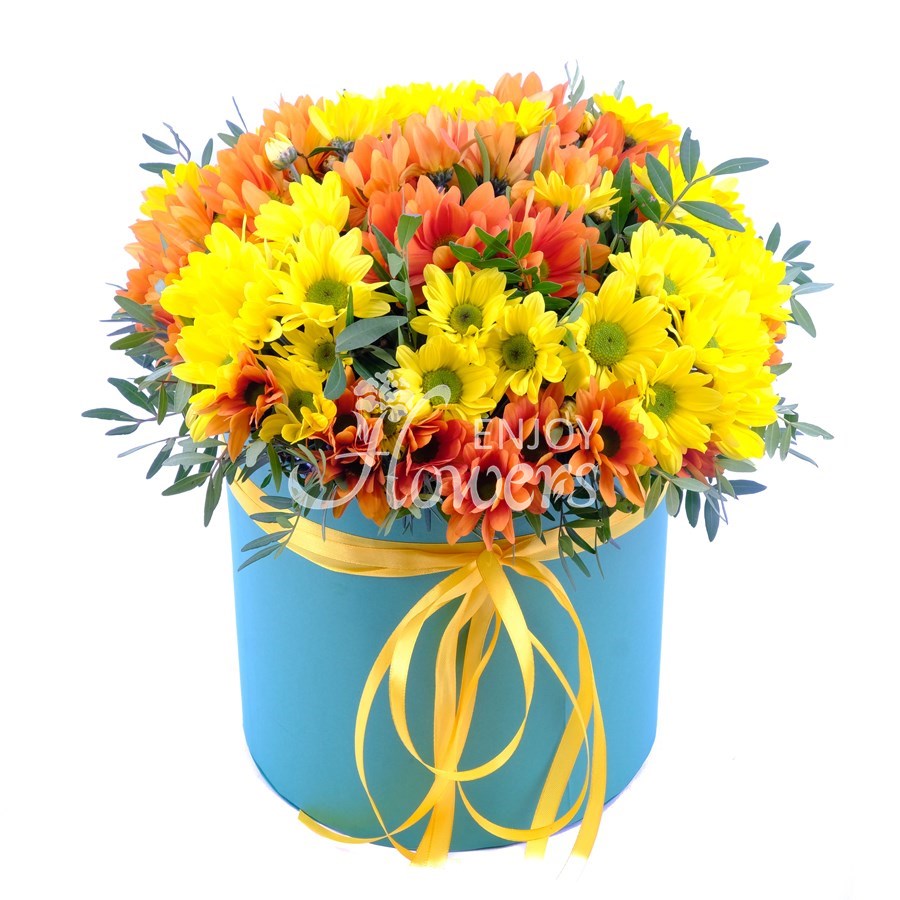 Композиция в коробке из 5 хризантем "Олимпия"