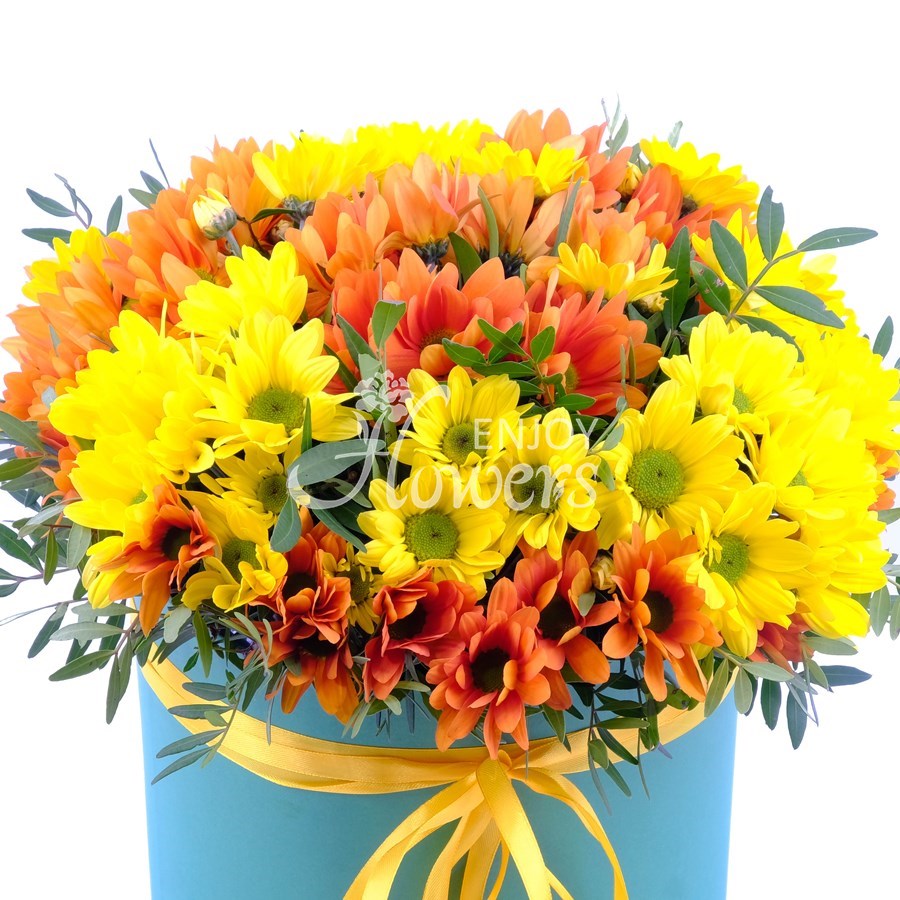 Композиция в коробке из 5 хризантем "Олимпия"