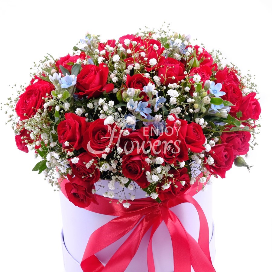 Композиция в коробке из 7 красных кустовых роз с оксипеталумом "Мерцающая ночь"