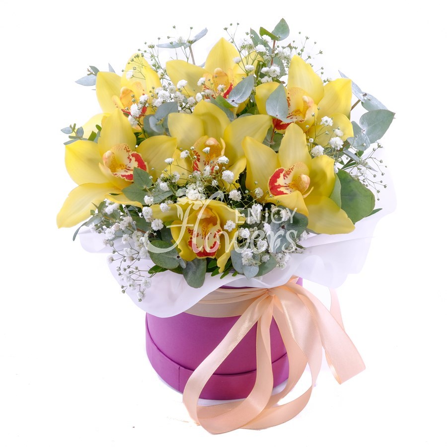 Композиция в коробке из 7 орхидей "Золотое царство"