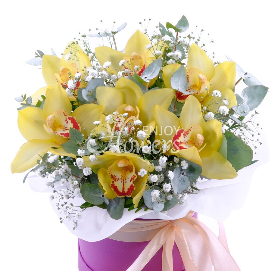 Композиция в коробке из 7 орхидей "Золотое царство"