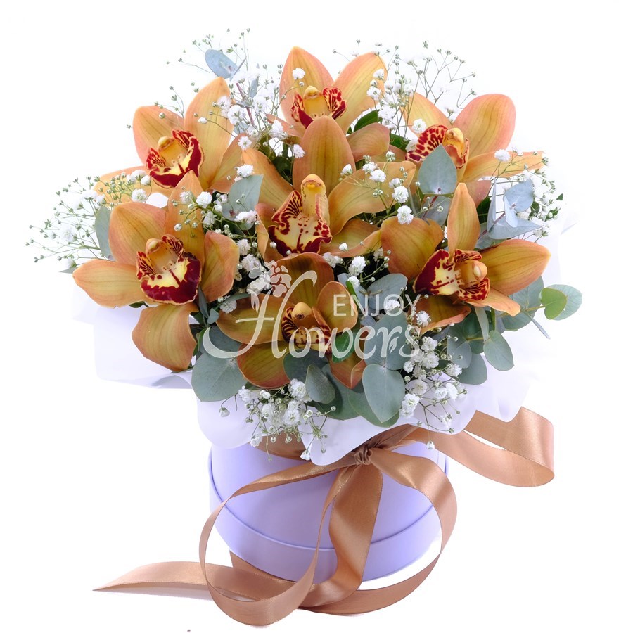 Композиция в ящике из 7 орхидей "Сувенир"