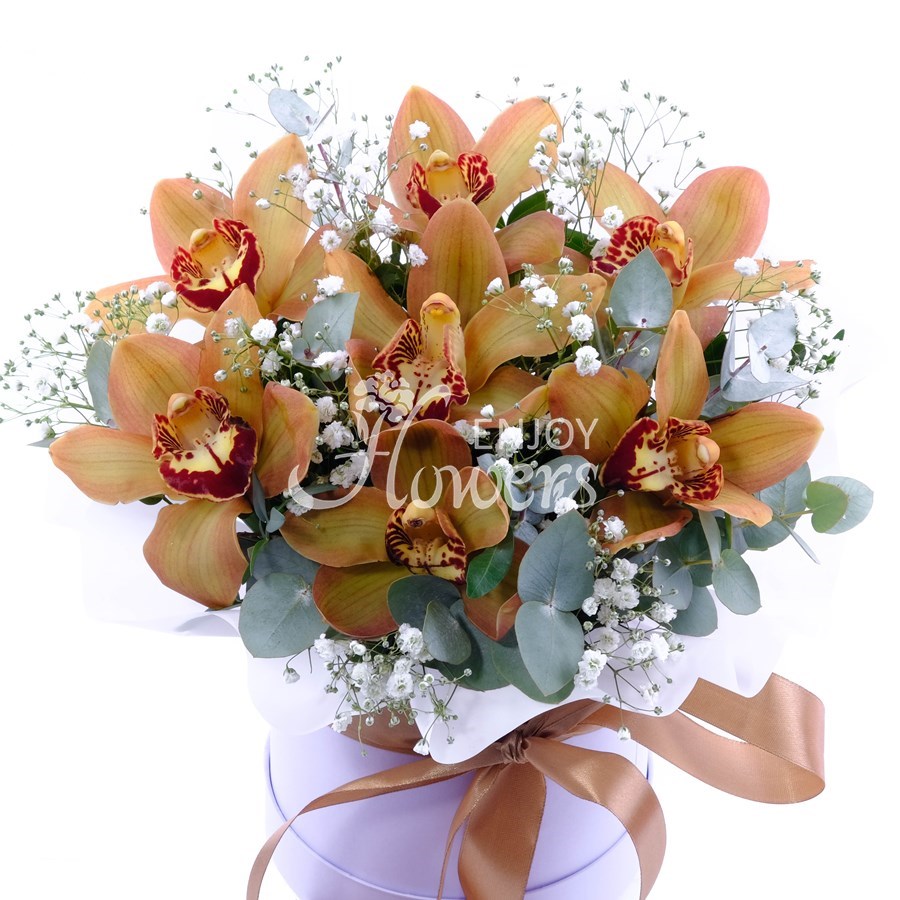 Композиция в ящике из 7 орхидей "Сувенир"