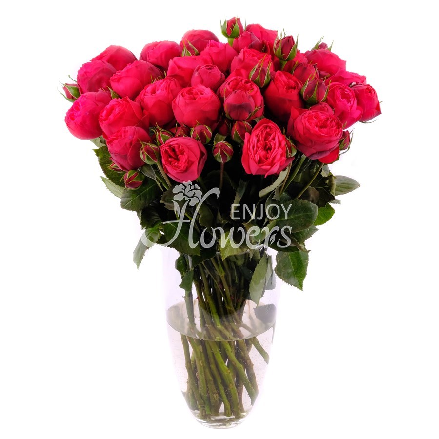 Красные пионовидные розы "Ред Пиано"