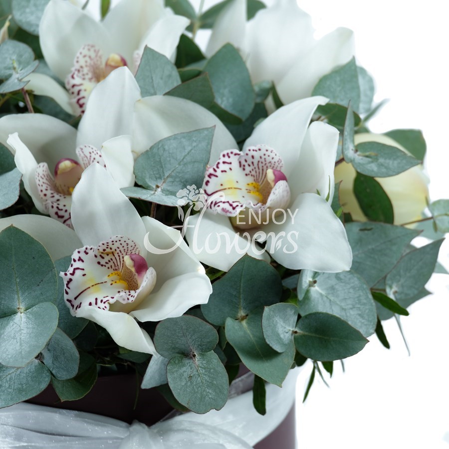 Орхидеи в коробке "Белый жемчуг"