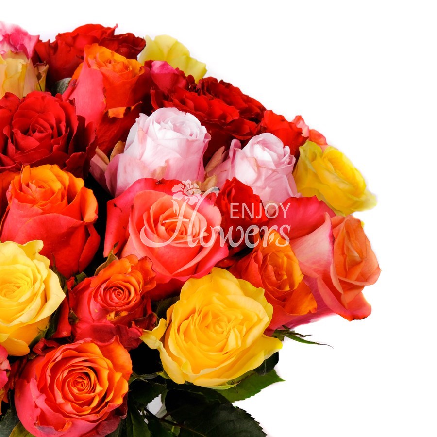 Разноцветные кенийские розы