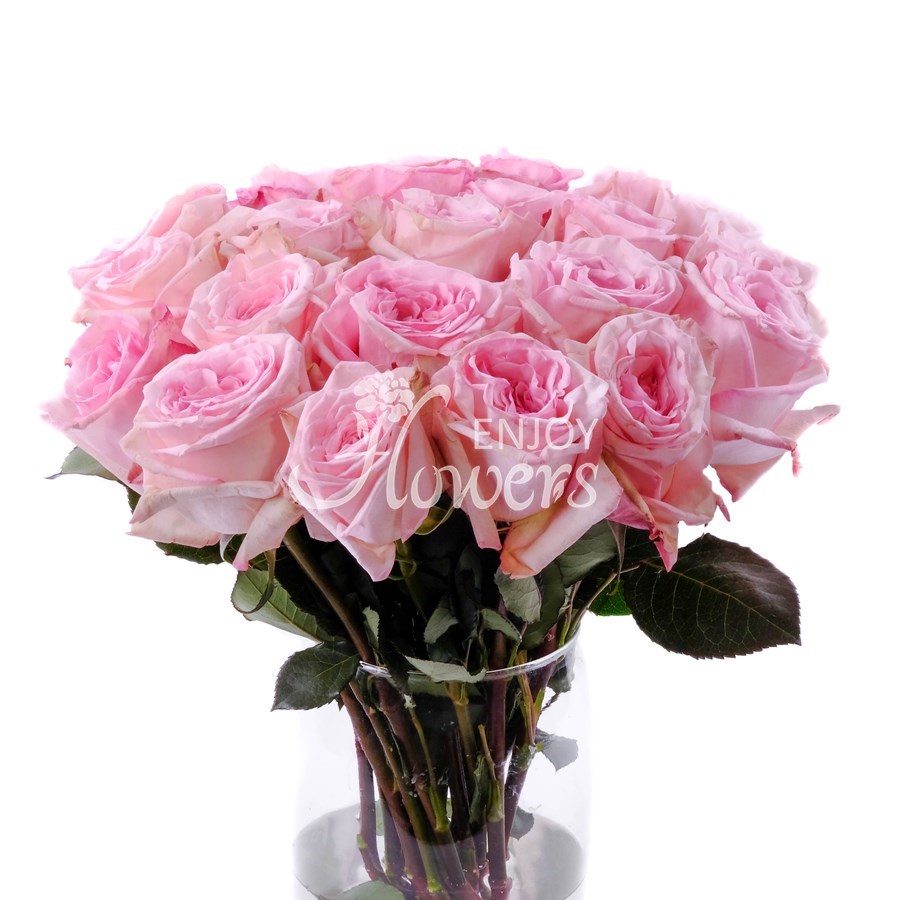 Розовые пионовидные розы "Пинк Охара"