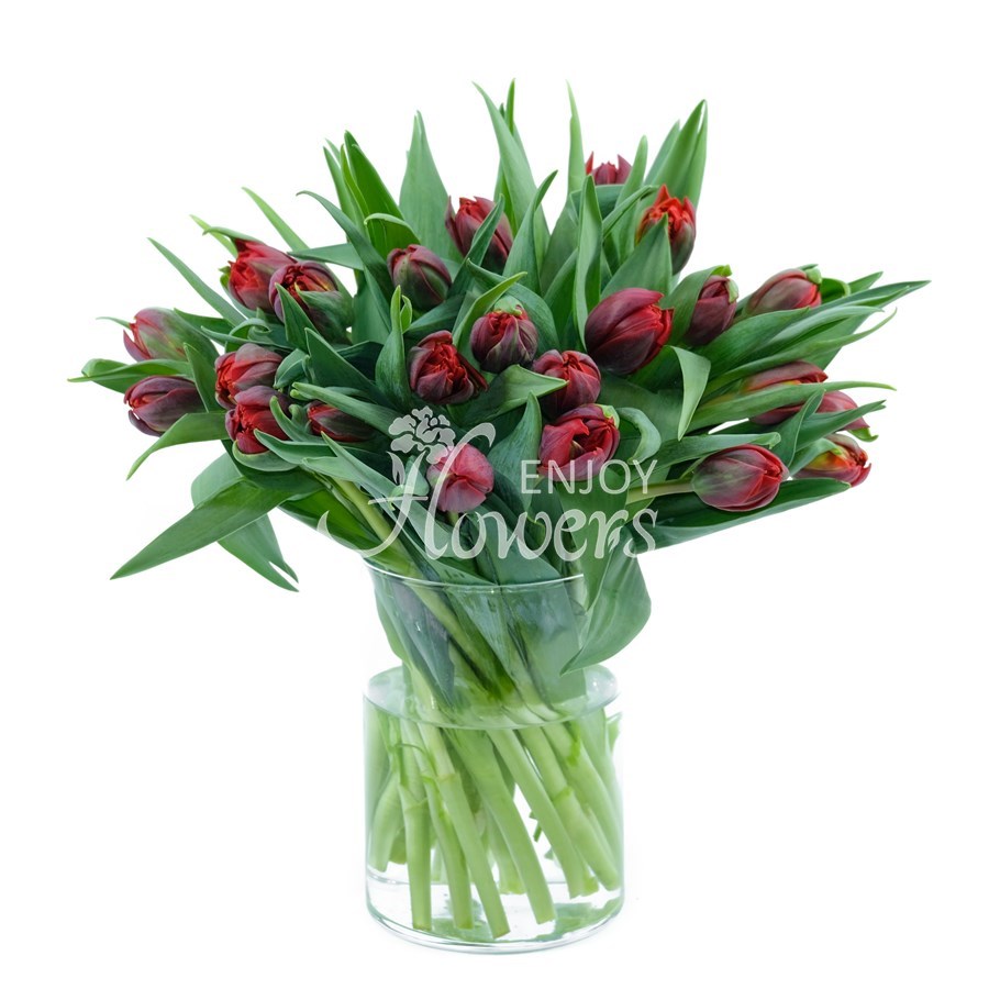 Тюльпаны пионовидные красные