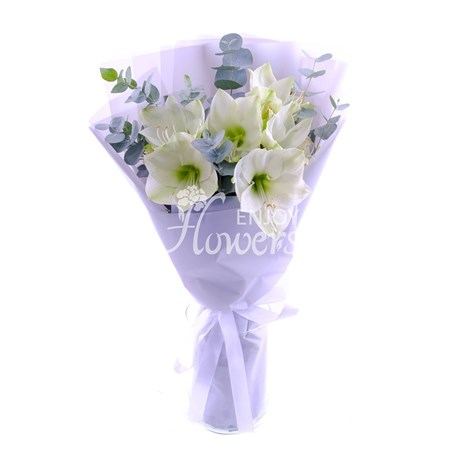 Букет из 3 белых амариллисов в пленке "Белые амариллисы"