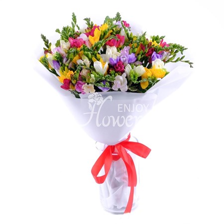 Букет из 51 фрезии "Разноцветная фрезия"