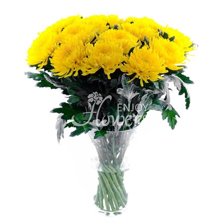 Хризантемы поштучно купить в москве комнатные цветы фото купить