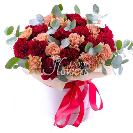 Композиция из 25 бордовых и кремовых гвоздик в коробке "Кремовые и бордовые гвоздики"